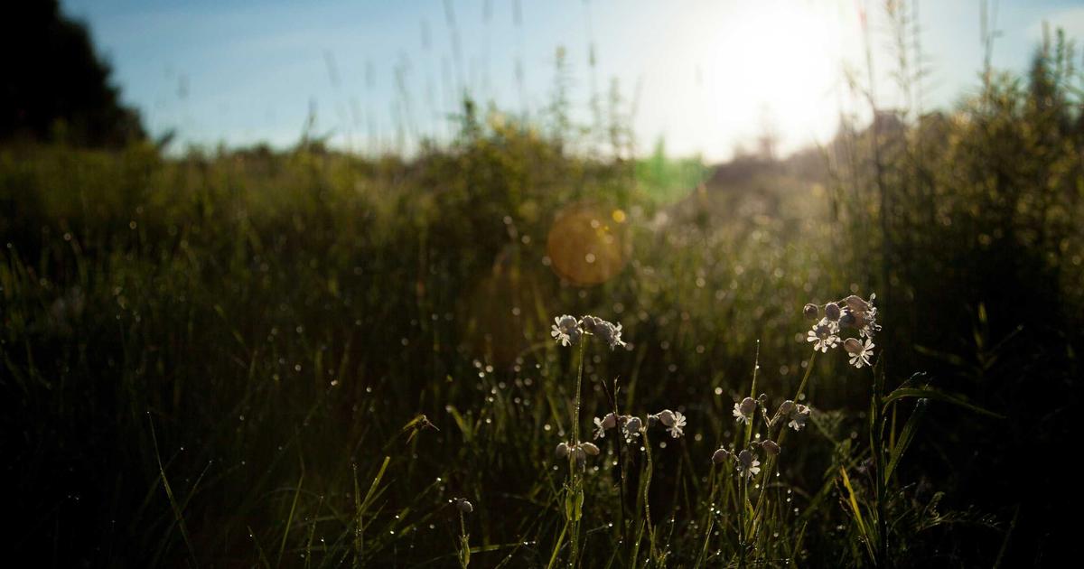 Nuxt 4: What's Changing and How to Prepare Your App image