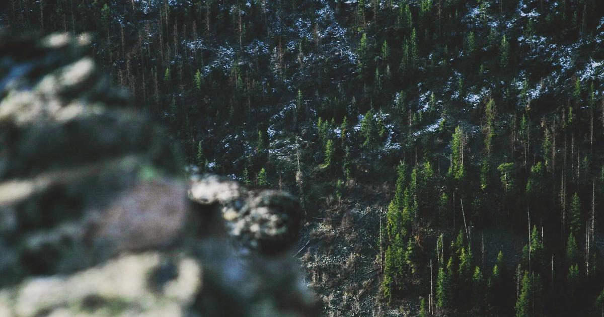 Setting Up Your Shell Configuration and OHMyZSH image