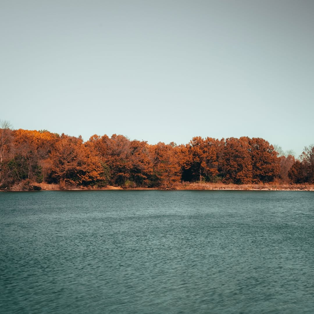 August A. Busch Memorial Conservation Area image