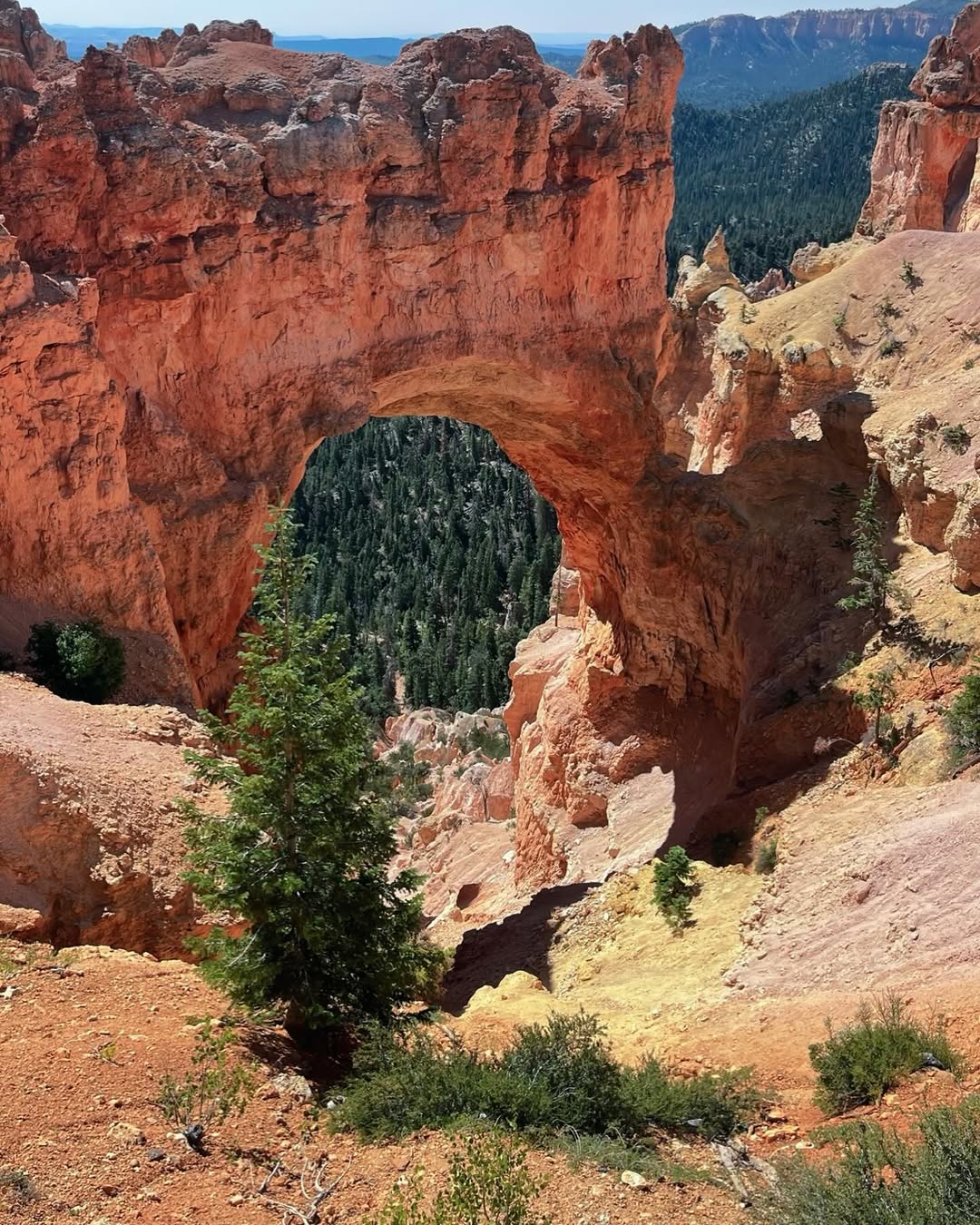Bryce Canyon: The Park That Looks Like a Dream image