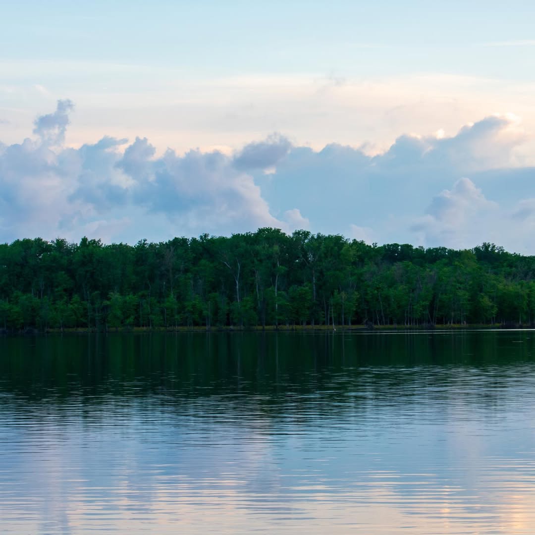 Creve Coeur Lake Memorial Park image