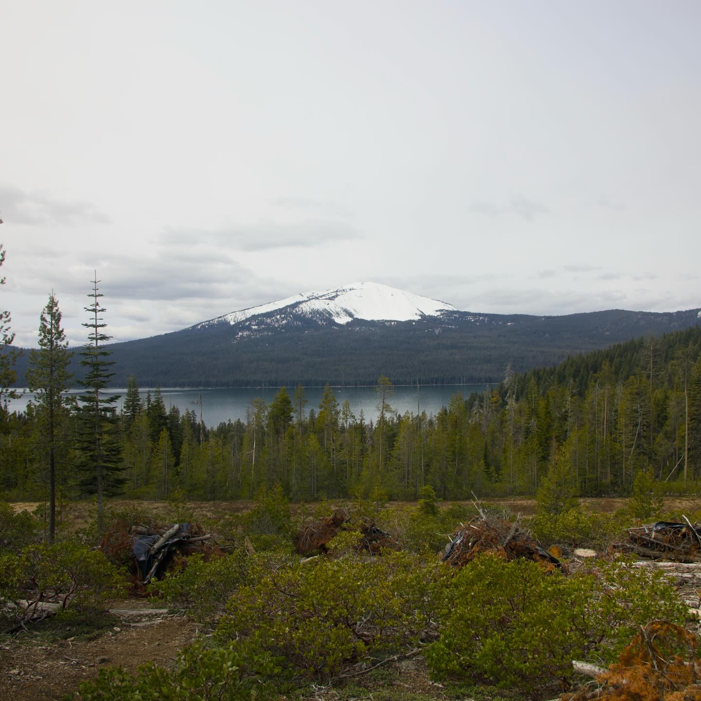 Diamond Lake, Oregon thumbnail