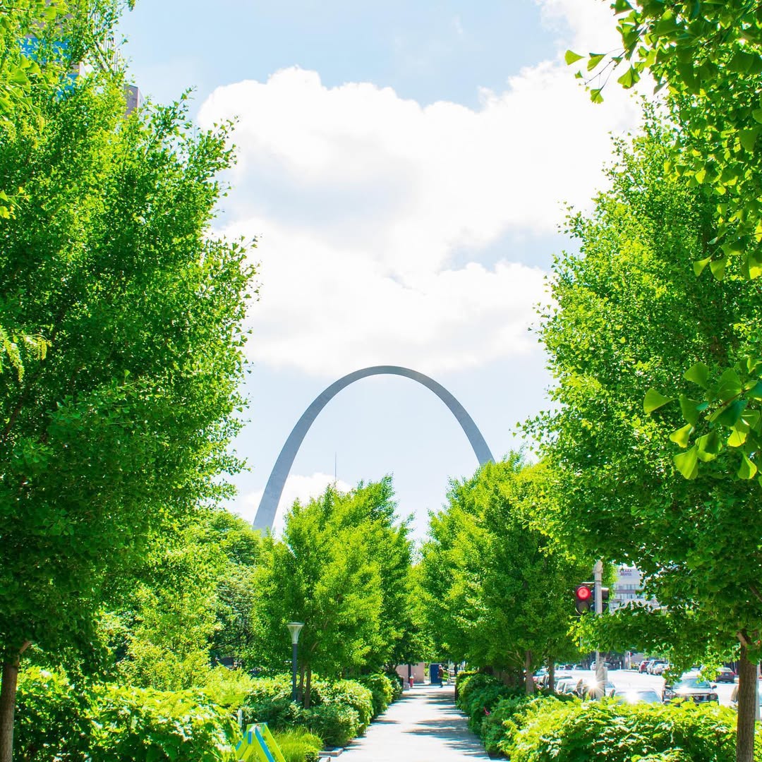 Downtown St. Louis image