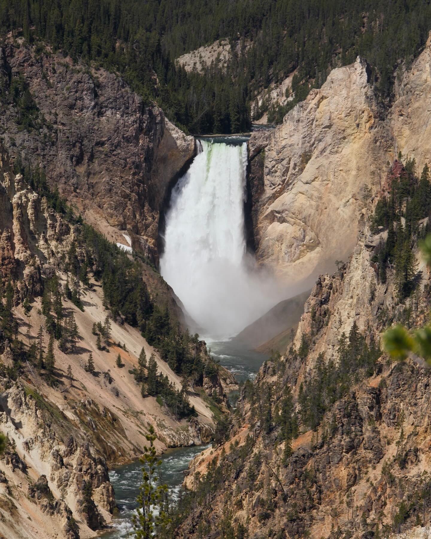 Grand Canyon of the Yellowstone image