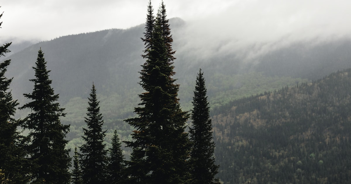 Visiting Great Smoky Mountains National Park