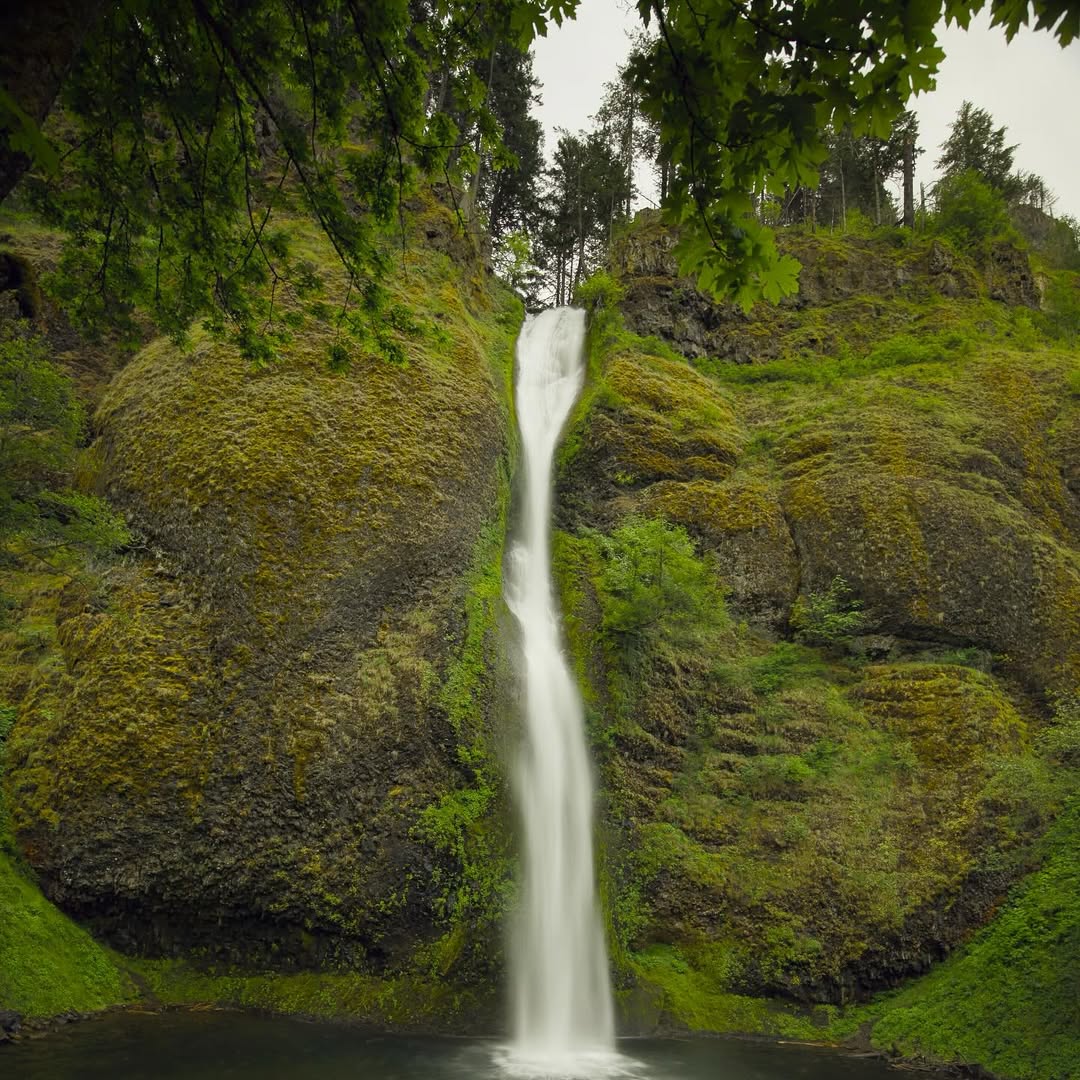 Horsetail Falls, Columbia River Gorge, Oregon image