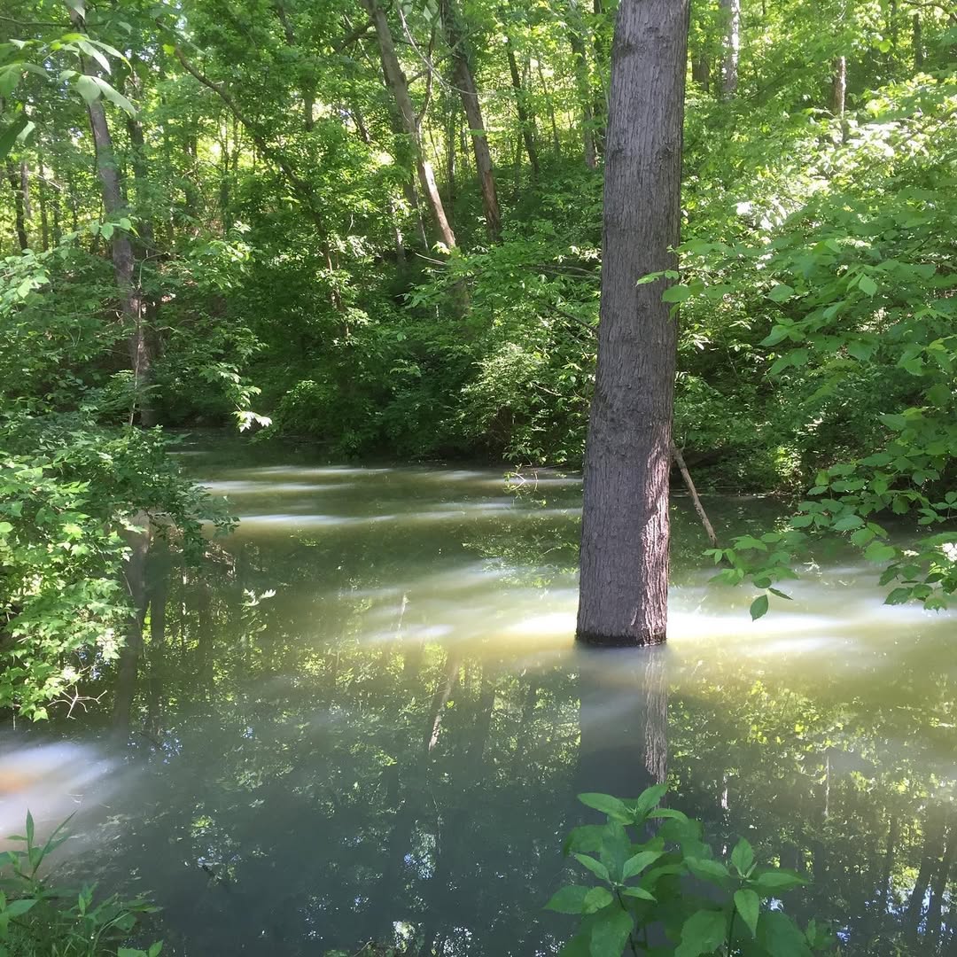 Lone Elk County Park image