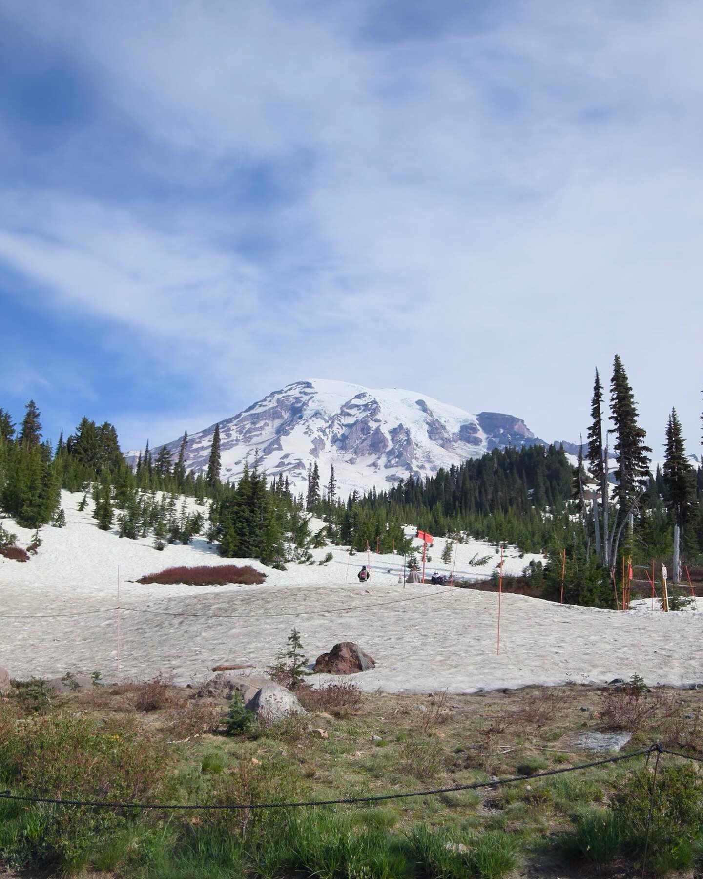 Mt. Rainier image