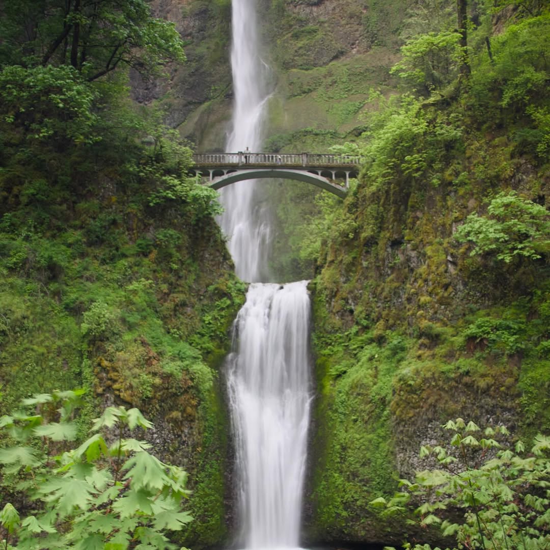 Multnomah Falls image