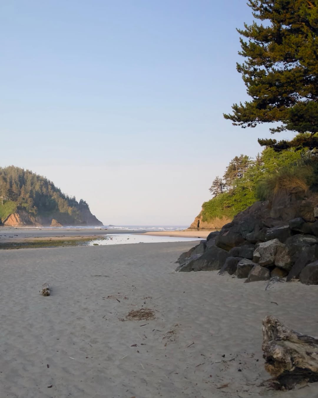 Neskowin Beach image