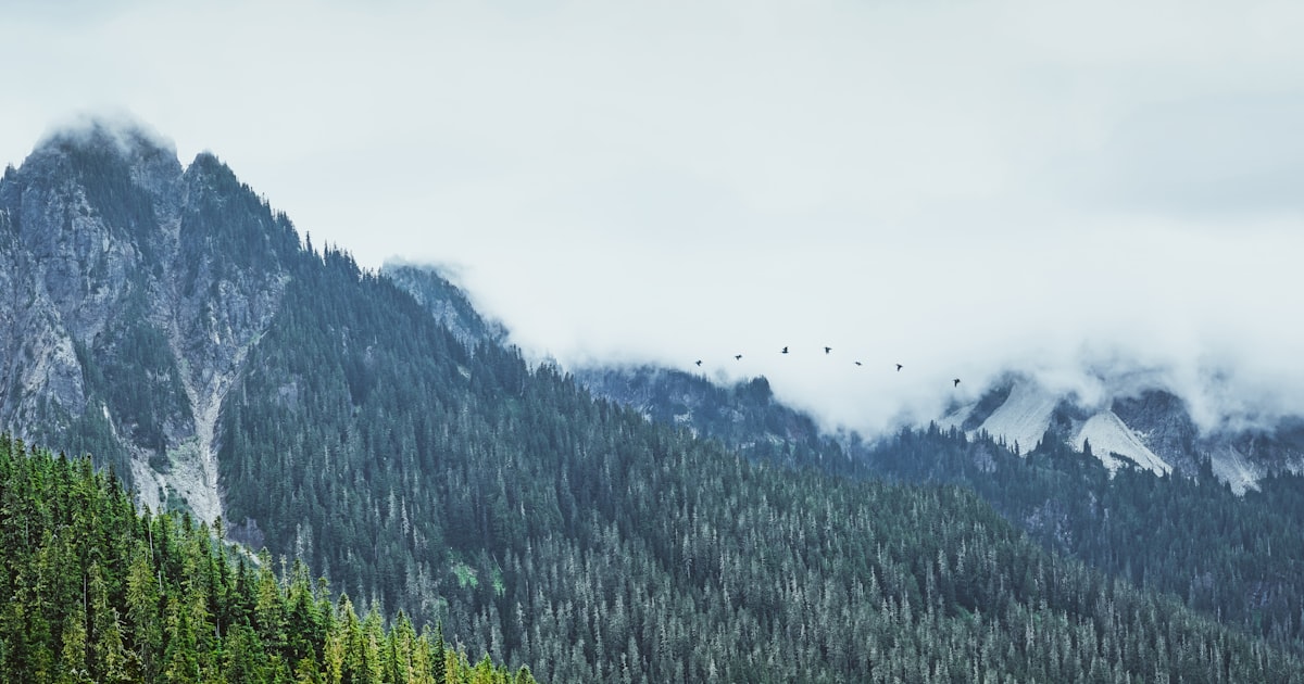 Visiting North Cascades National Park