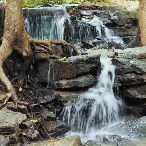 Parkville Parks & Recreation image