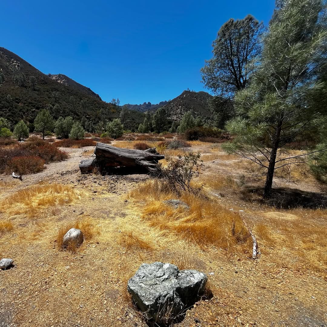 Pinnacles National Park image