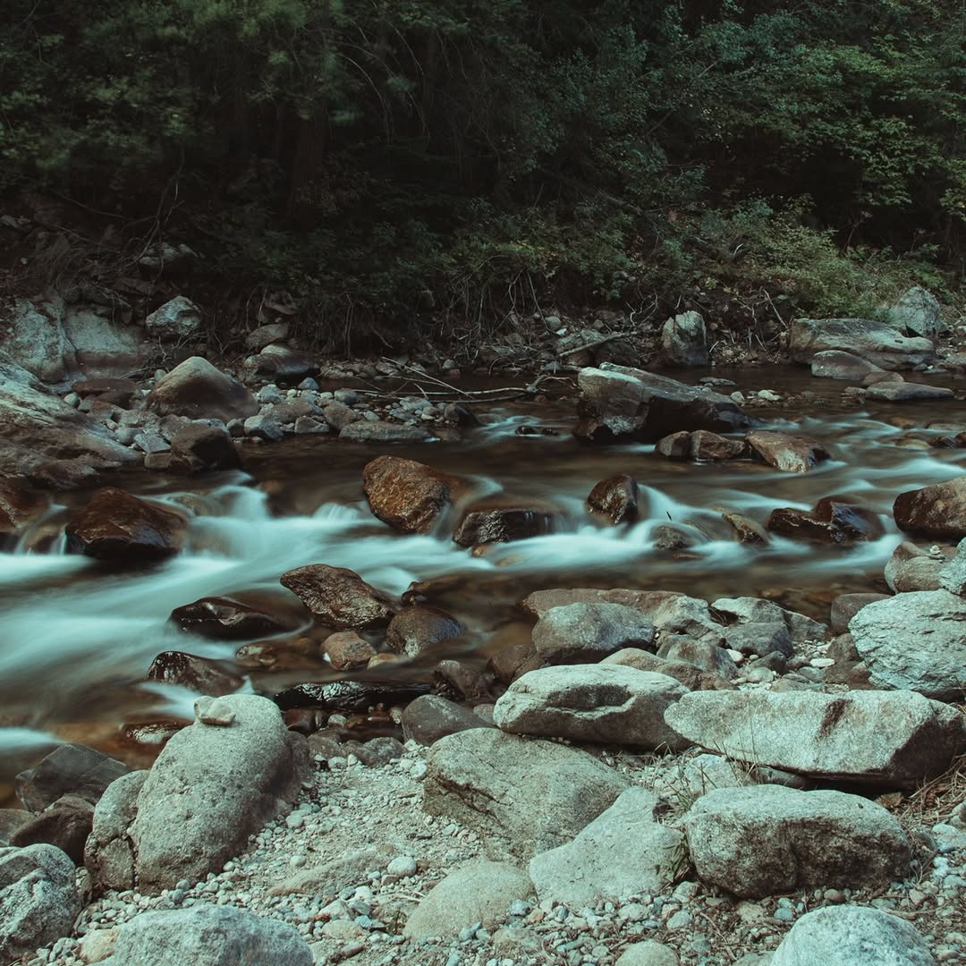 Roosevelt National Forest image