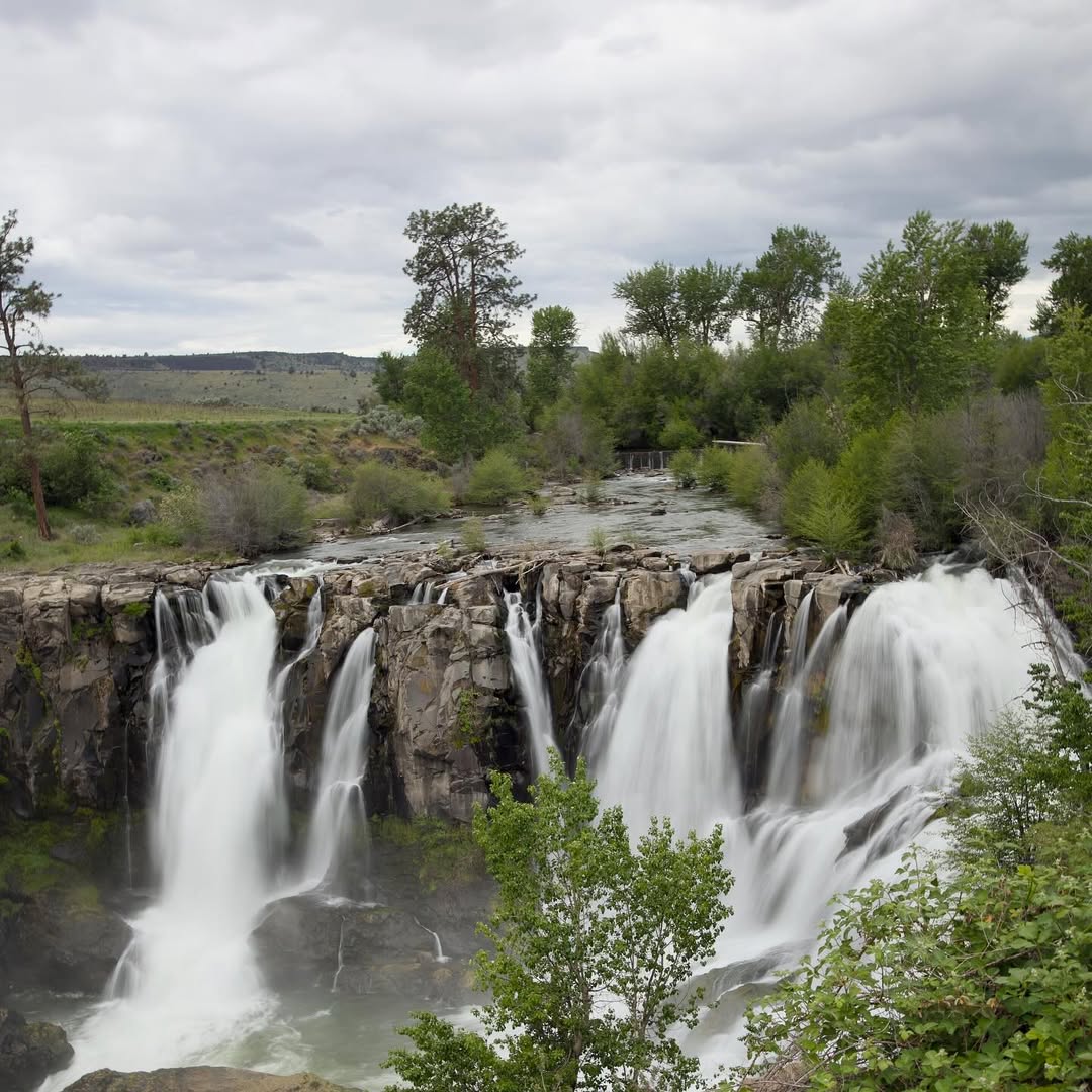 Shoshone Falls image