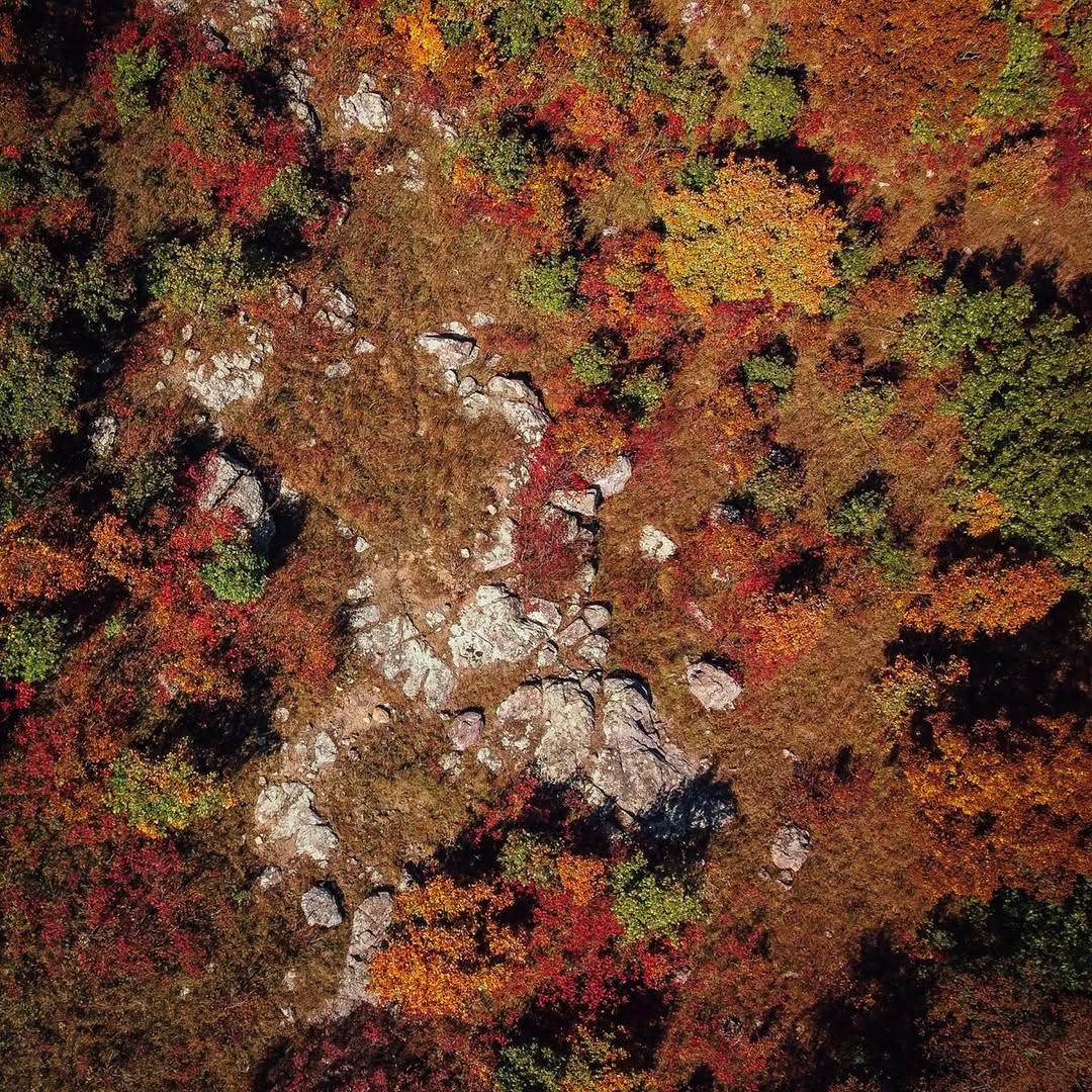 Taum Sauk Mountain State Park image