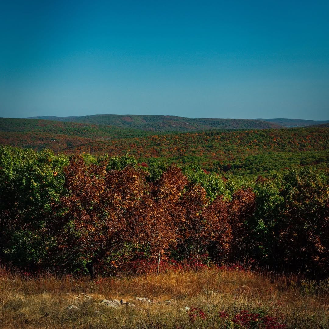 Taum Sauk Mountain image