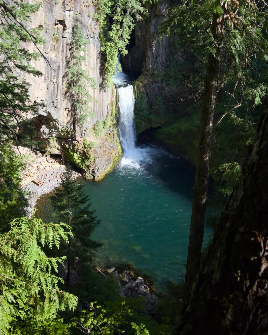 Toketee Falls image