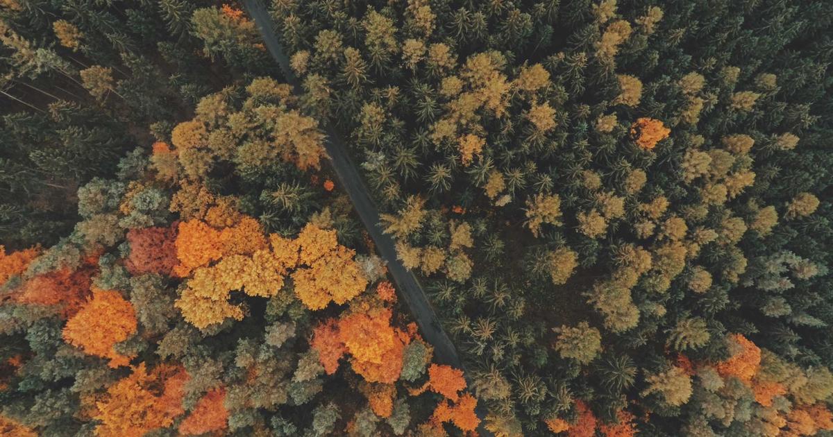 TypeScript 5.7: What's New and Why It Matters image