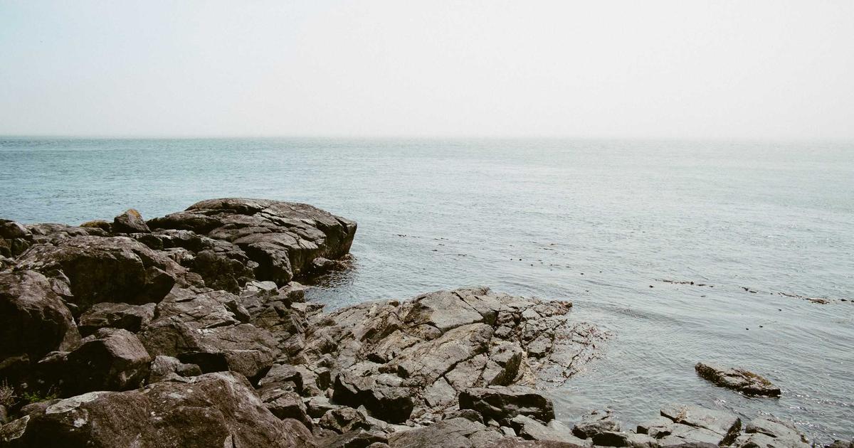 The View Transitions API: Smooth Page Animations Without a Framework image